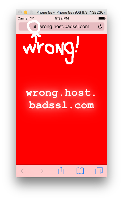Screenshot of Safari after continuing through an invalid certificate warning